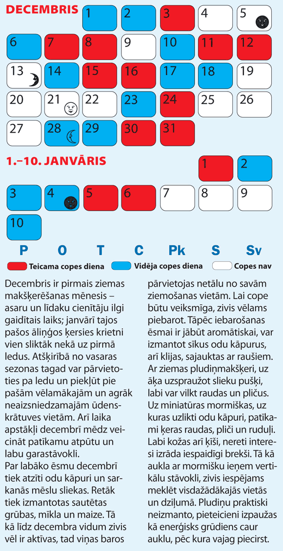 Copes dienu kalendārs Decembrim un Janvāra sākumam